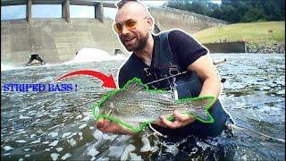 Shenango, PA Dam Outflow Fishing