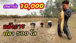 เหมาบ่อ 10,000บาท เดือดสุดขีด ปลาเยอะจัด | Ep.152