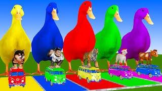 5 Giant Duck Cartoon, Cow, Lion, Mammoth, Ferdinand, Paint Wild Animals Crossing Fountain Animation