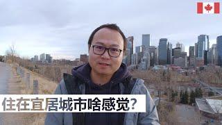 卡尔加里为什么是宜居城市？走，我带你看看去！| 卡加利 Calgary