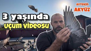 Ben İyisiyle Kötüsüyle Havaya Atıyorum  / Aytekin Akyüz /Uçum videosu