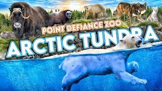 Zooführungen: Arktische Tundra und Wälder der Rotwölfe | Point Defiance Zoo