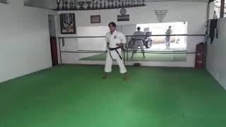 Pinan godan kata Okinawa shorin Ryu shinshukan