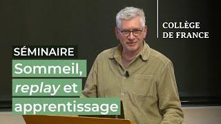 Sommeil, replay et apprentissage (1) - Stanislas Dehaene (2024-2025)