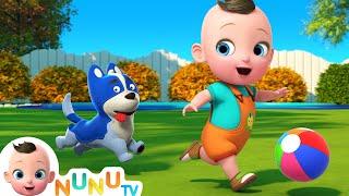 Kick The Ball Song + More Nursery Rhymes | Kids Songs | NuNu Tv