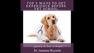 Top 5 ways to get Animal Experience before Vet School