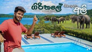 දවස් 3 ක් Girithale Hotel එකේ | Elephant Watching Safari | Cycling | Hiking 