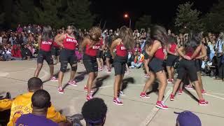  Greek Life Delta Sigma Theta MSU Yard Show (Divine Nine)