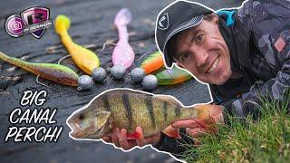 THESE TINY LURES CATCH BIG PERCH | UK Canal Fishing using Dropshot and Jigs!