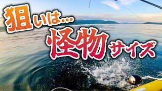 リリースNG！化け物サイズの美味しい魚で 絶品かまぼこ を作る！