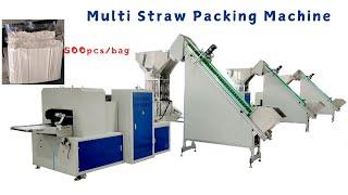 500pcs Straw Group Wrapping Machine,Group Bulk Packing Machine,Group straw Counting Packing Machine