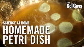 The Sci Guys: Science at Home - SE2 - EP3: Homemade Petri Dish - Growing Bacteria at Home
