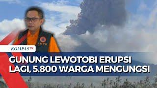 Breaking News! Kembali Erupsi, Begini Situasi dan Aktivitas Gunung Lewotobi Laki-Laki