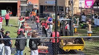 Cleaning up the arena between woodchopping events at the show