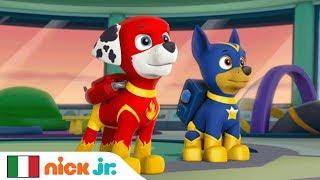 Pup Rock Special Song  PAW Patrol | Nick Jr.