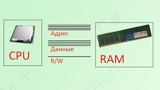 03. Основы устройства компьютера. Память и шина. [Универсальный программист]