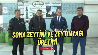 SOMA ZEYTİNİ VE ZEYTİNYAĞI ÜRETİMİ | ZEYTİNİN YOLCULUĞU