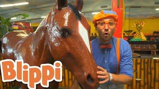 Blippi Learns Jungle Animals | Animals For Kids | Educational Videos For Children