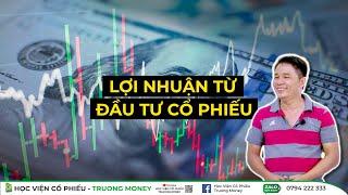 LỢI NHUẬN TỪ ĐẦU TƯ CỔ PHIẾU