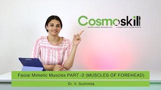 Muscles of the Forehead Explained - PART 2 - Dr. Sushmita - Chennai Plastic Surgery