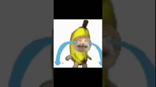 #bananacat ||Credit: @GabryGEF || #viral #meme #viralvideo #viralshorts #shorts #lol