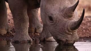 WILD NAMIBIA E06 - ONGAVA RESEARCH CENTRE - Exploring nature's secrets from above, and below.