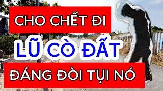 CHO CHẾT HẾT ĐI. LŨ CÒ ĐẤT ĐÁNG ĐỜI TỤI NÓ LẮM | Nhà Đất Hôm Nay #nhadathomnay #batdongsan #tintuc