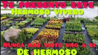 te presento un hermoso vivero de plantas y mas..