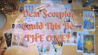 Scorpio - Is This Your Divine Partner? AUGUST READING 