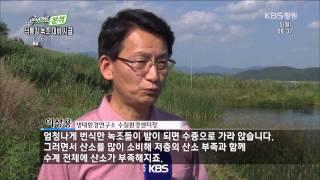 [뉴스 인사이드-분석] ② 물고기 폐사, 녹조 재난 우려 (2015.07.5,일)