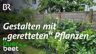 Gestalten mit "geretteten" Pflanzen