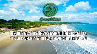 Residency by Investment Investor Nicaragua Real Estate Teak Plantation Real Estate Popoyo