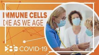 Health check: How does the immune system respond to coronavirus?