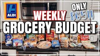 What I Got for $65 as a SINGLE MOM OF 3 | Aldi Budget Grocery Haul | Weekly Grocery Budget