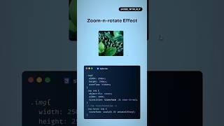 Zoom & rotate Effect using CSS & HTML‍ #coding #programming #htmlcss #webdev #webdevelopment #css