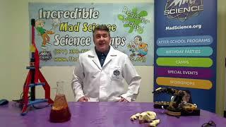 Get ready for summer with Mad Science of the Bay Area!
