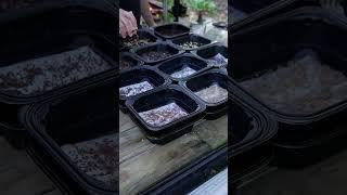 Cheap & Easy Gardening