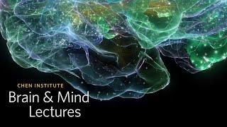 Chen Institute Brain & Mind Lecture: NeuroAesthetics