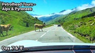 Dodging Cows in a Porsche GT4! | Plus Debrief and Spain Trip Trailer! | Petrol Head Tours Alps Day 7