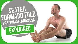 How to Do Seated forward Fold - paschimottanasana