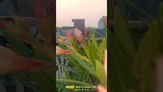 ll gita shri krishna gyan ll#viralvideo#krishna#naturelovers#nature#geeta#bhagavadgita#harshivlog77