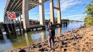 Fishing Giant Bridge For Dinner When I Hooked Into The Unexpected!