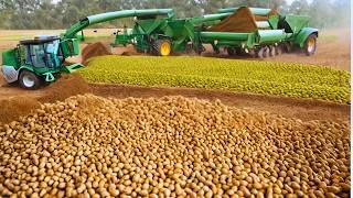 $100 Billion Peanut Harvesting: From Nuts to Jars #documentary