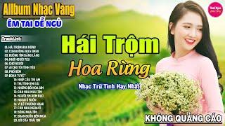 Hái Trộm Hoa Rừng  LK Nhạc Vàng Xưa Hay Nhất Nhẹ Nhàng Sâu Lắng, Nghe Thử Một Lần Bạn Sẽ Nghiện