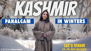 Pahalgam Tourist Place Kashmir | Kashmir in Winters | Megha Abrol Vlogs