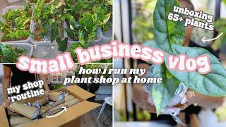 Running a Plant Store From Home Vlog🪴: Unboxing HUGE Variegated Plant Shipment, Shop Restock Routine