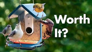 Bird Buddy Smart Bird Feeder Review - 6 Months Later