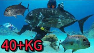 MONSTER TREVALLY || SPEARFISHING PHILIPPINES! || 40+KG IN A DIVE!