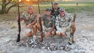 South Texas Dove Hunt (Catch*Clean*Cook) Pot Roasted Doves In A Dark Gravy