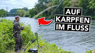 Karpfenangeln am Fluss für Anfänger  Alles, was du wissen musst (mit Robin Illner)